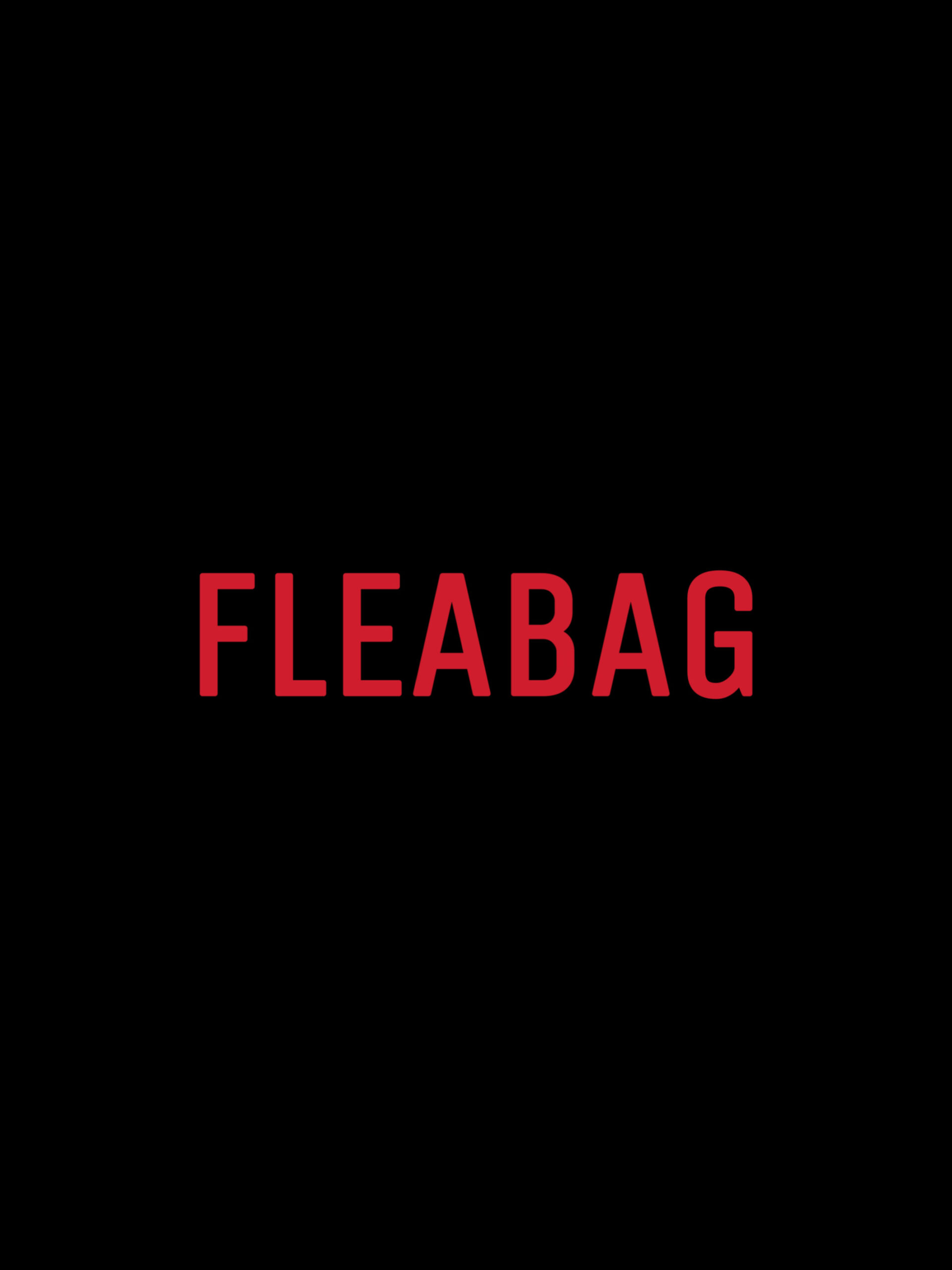 دانلود سریال Fleabag فلیبگ