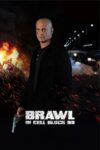 دانلود فیلم Brawl in Cell Block 99 2017 درگیری در سلول 99