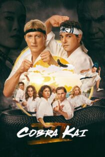 دانلود سریال Cobra Kai کبرا کای