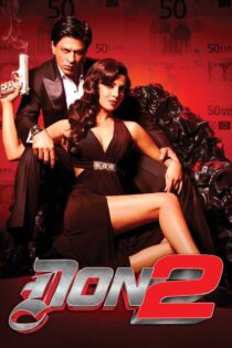 دانلود فیلم Don 2 2011 دون ۲