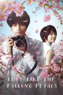 دانلود فیلم Love Like the Falling Petals 2022 عشقی مثل گلبرگ های در حال ریزش